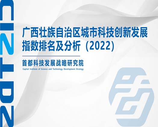 九一美女被操视频【成果发布】广西壮族自治区城市科技创新发展指数排名及分析（2022）